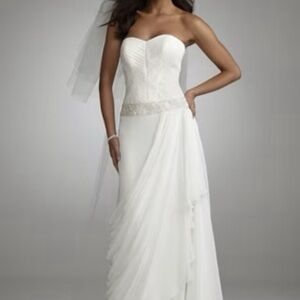 Stunning! David’s Bridal Dream Wedding Dress!